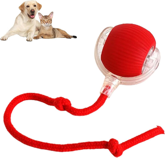 Endless Fun: 360° Auto-Rolling Ball for Cats & Dogs