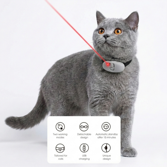 Interactive Play: USB Rechargeable Smart Laser Cat Collar