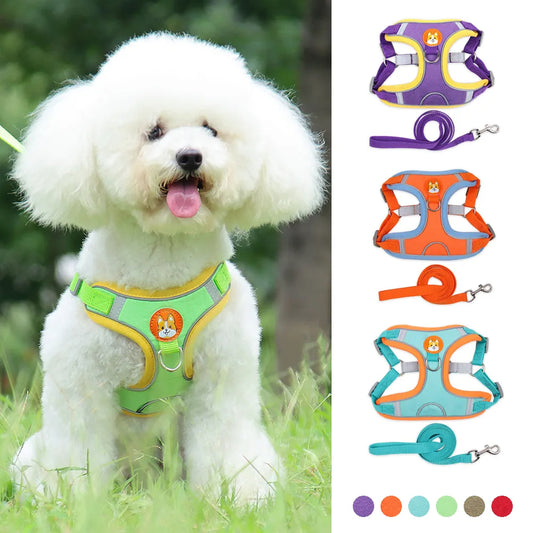Reflective No-Pull Dog Harness & Leash Set for Small Dogs