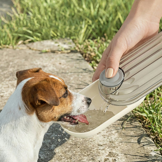 Snack & Sip: Portable 2-in-1 Dog Water Bottle